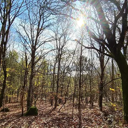 Casa Campelo - Playas De Pinténs - Hio - Ría De Aldán - * Cangas do Morrazo