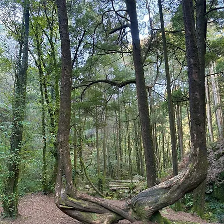 Casa Campelo- Playas De Pintens - Cangas-hio- Ria De Aldan Semesterbostad *